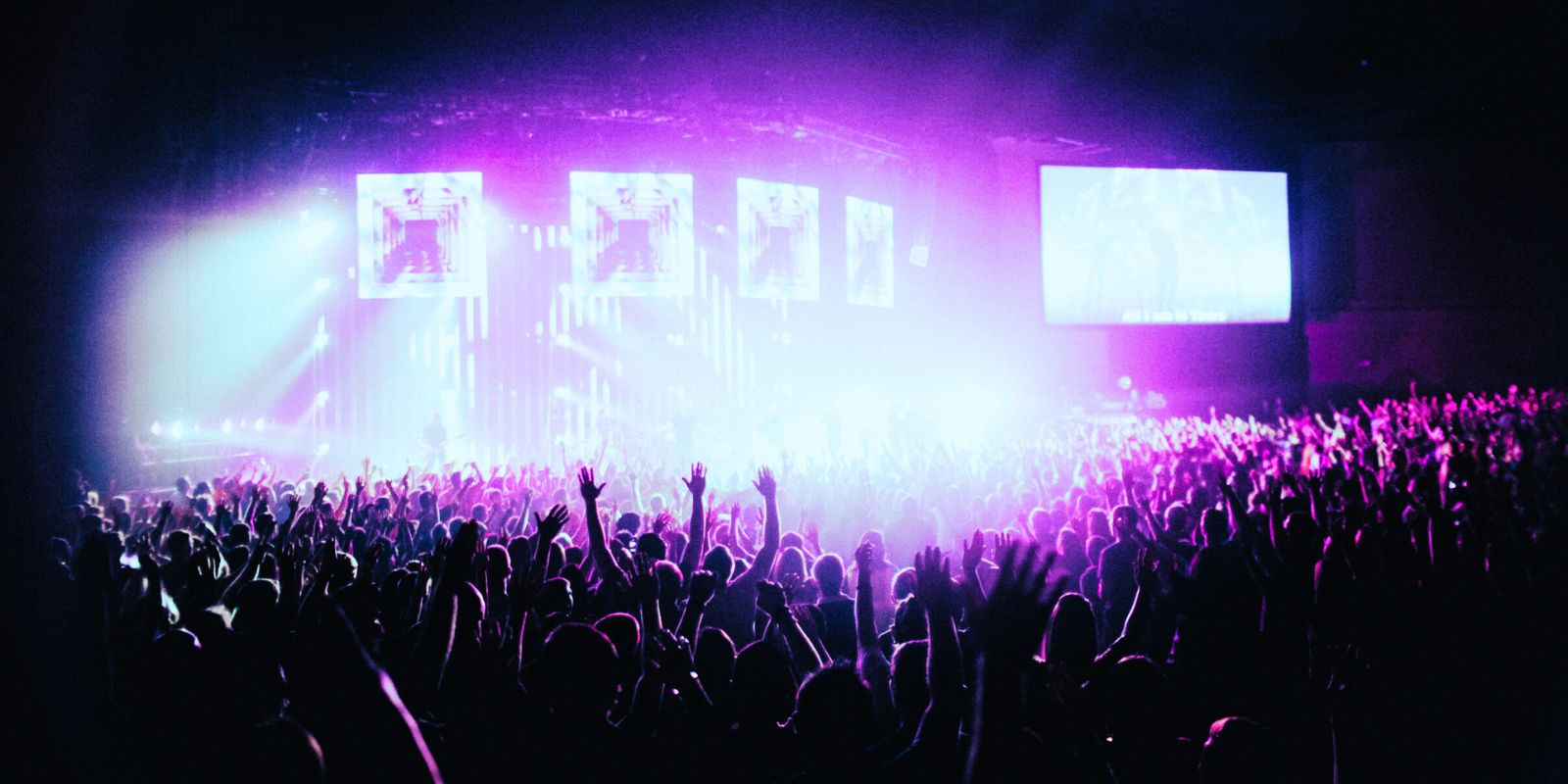 Crowd of people at a live concert with purple and white lights