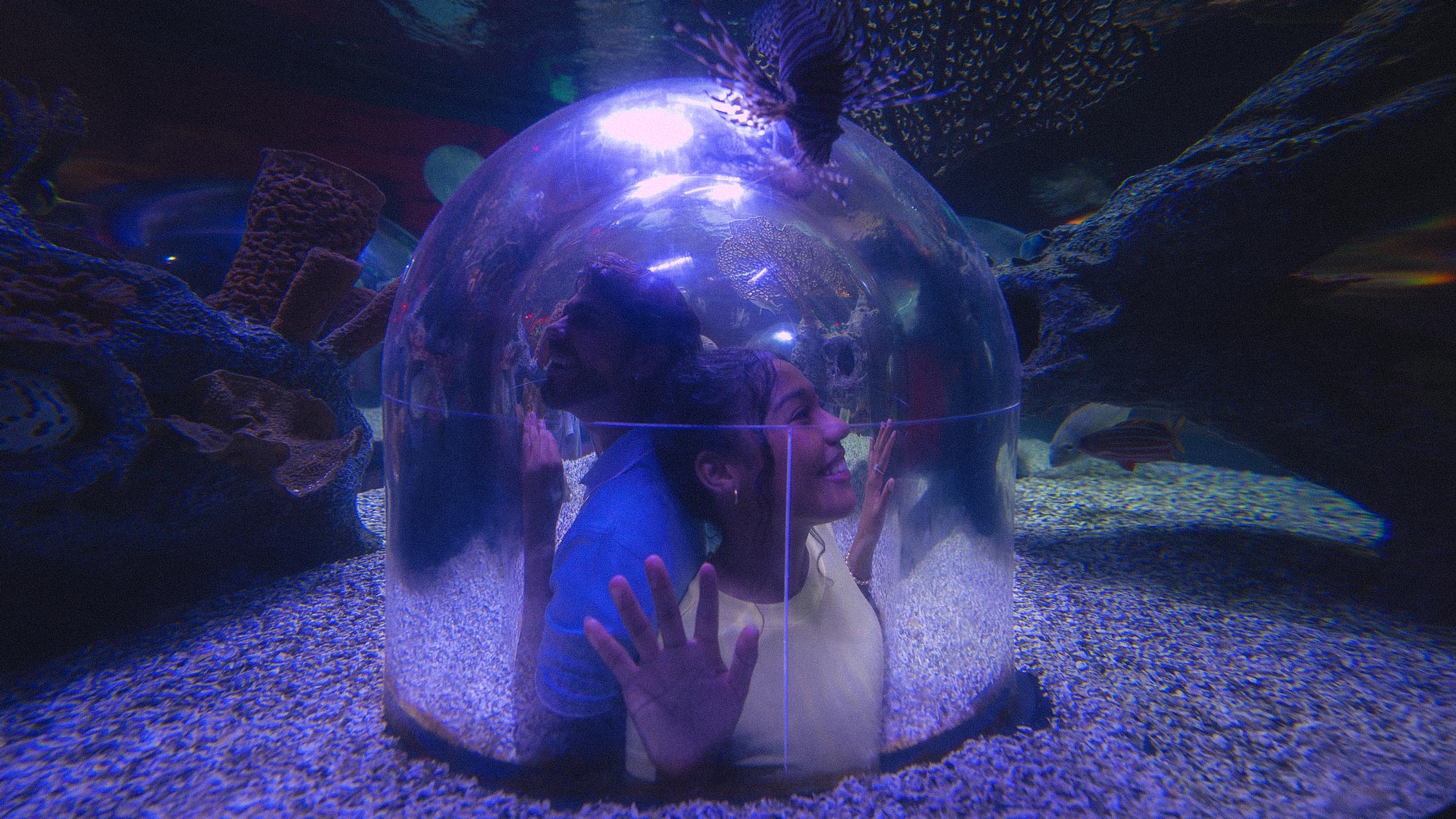 Young people looking through a dome into an aquarium